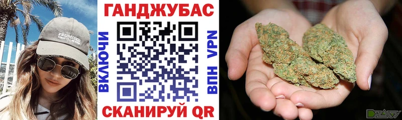 Марихуана план  Новый Оскол 